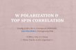 W polarization &  Top Spin correlation