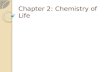 Chapter 2: Chemistry of Life
