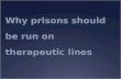 Why prisons should be run on therapeutic lines