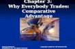 Chapter 3:  Why Everybody Trades: Comparative Advantage