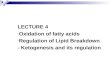 LECTURE 4  Oxidation of fatty acids Regulation of Lipid Breakdown - Ketogenesis and its regulation