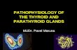 PATHOPHYSIOLOGY OF THE THYROID AND PARATHYROID GLANDS MUDr. Pavel Maruna
