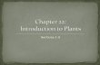 Chapter 22:  Introduction to Plants