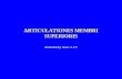 ARTICULATIONES MEMBRI SUPERIORIS