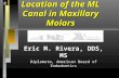 Location of the ML Canal in Maxillary Molars