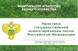 Практика  государственной инвентаризации лесов Российской Федерации