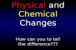 Physical  and  Chemical  Changes