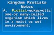 Kingdom Protista Notes