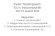Peter Nedergaard: EU’s industripolitik