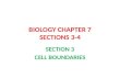BIOLOGY CHAPTER 7 SECTIONS 3-4