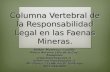 Columna  Vertebral de la  R esponsabilidad  Legal en  las Faenas Mineras .