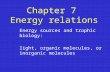 Chapter 7  Energy relations