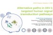 Alternative paths in HIV-1 targeted human signal transduction pathways