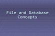 File and Database Concepts