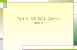 Part 5. MS-SQL Server Basic