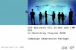 SAP Business All-in-One and IBM DB2 Co-Marketing  Program 2008 Campaign Adaptation Package