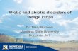 Biotic and abiotic disorders of forage crops