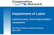Department of Labor AGRICULTURAL YOUTH EMPLOYMENT STANDARDS