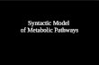 Syntactic Model  of Metabolic Pathways