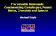 The Versatile  Salmonella :  Contaminating Cantaloupes, Peanut Butter, Chocolate and Sprouts