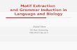Motif Extraction  and Grammar Induction in Language and Biology