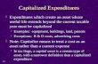 Capitalized Expenditures