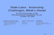 State Laws:  Assessing Challenges, What’s Ahead