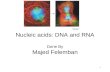 Nucleic acids: DNA and RNA Done By Majed Felemban