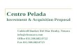 Centro Pelada Investment & Acquisition Proposal