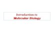 Introduction to  Molecular Biology