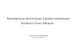 Remittances and Human Capital Investment: Evidence from Albania