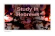 Study in Hebrews