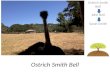Ostrich Smith Bell