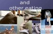 anorexia nervosa and  other eating disorders