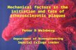 Mechanical factors in the initiation and fate of atherosclerotic plaques