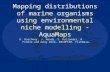 Mapping distributions of marine organisms using environmental niche modelling - AquaMaps