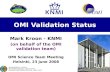 OMI Validation Status