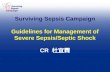 Surviving Sepsis Campaign Guidelines for Management of Severe Sepsis/Septic Shock