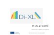 Di-XL  projekts