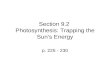 Section 9.2  Photosynthesis: Trapping the Sun’s Energy