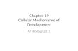 Chapter 19 Cellular Mechanisms of Development