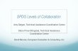 SPDG Levels of Collaboration