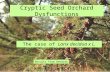 Cryptic Seed Orchard Dysfunctions
