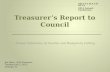 Treasurer’s Report to Council