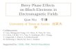 Berry Phase Effects  on Bloch Electrons in Electromagnetic Fields