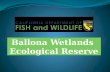 Ballona  Wetlands  Ecological Reserve
