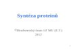 Syntéza proteinů