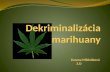 Dekriminalizácia  marihuany