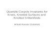 Quandle Cocycle Invariants for Knots, Knotted Surfaces and   Knotted  3-Manifolds