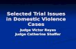 Selected Trial Issues in Domestic Violence Cases